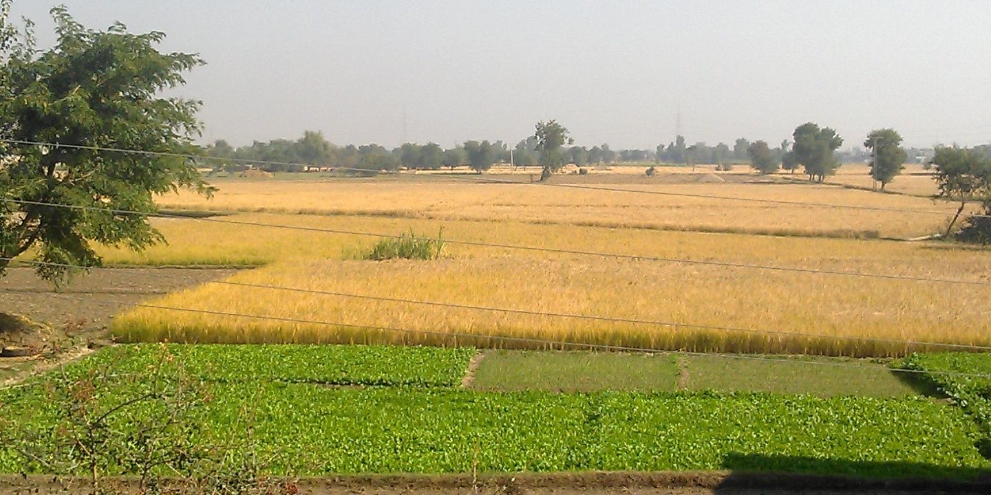 MurtazaBA's profile banner image