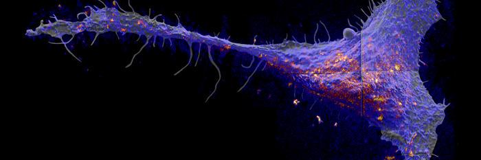 2Membranez's profile banner image