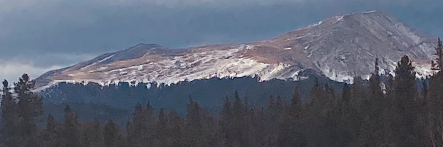 Dena Ladd banner