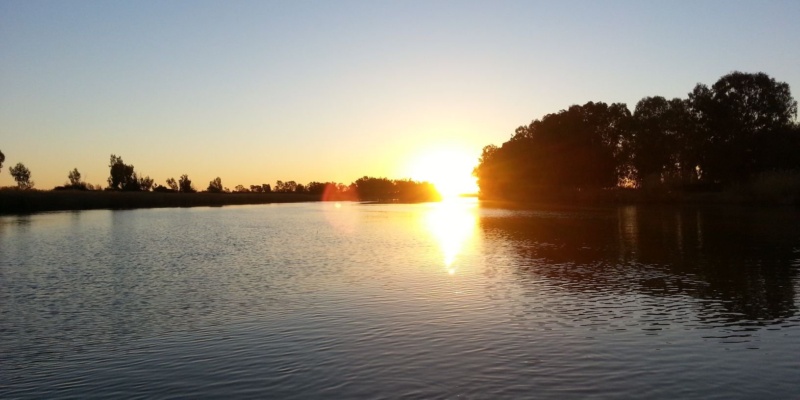 baldilockss's profile banner image