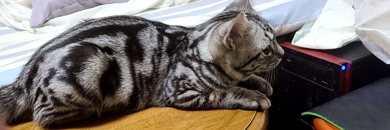 seburs's profile banner image