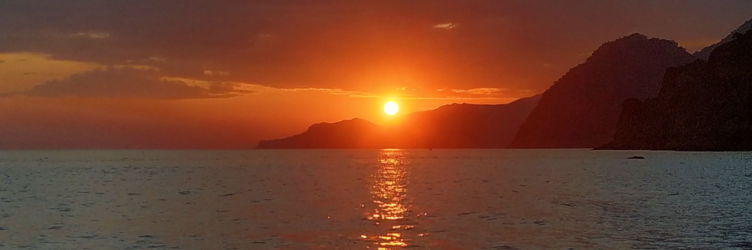 prassinachania's profile banner image