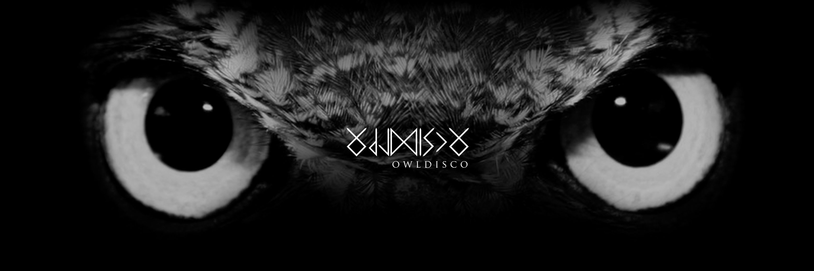 owldisco's profile banner image