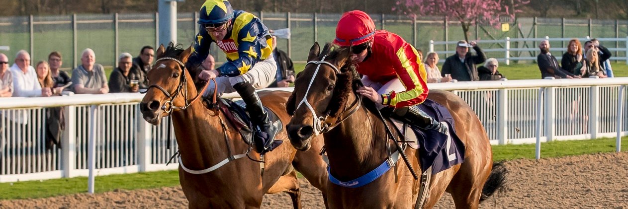 AMAZING RACING SYNDICATES banner