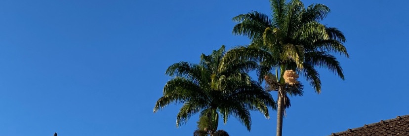 TelesJullia's profile banner image