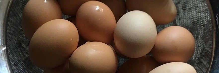 organicallyann's profile banner image