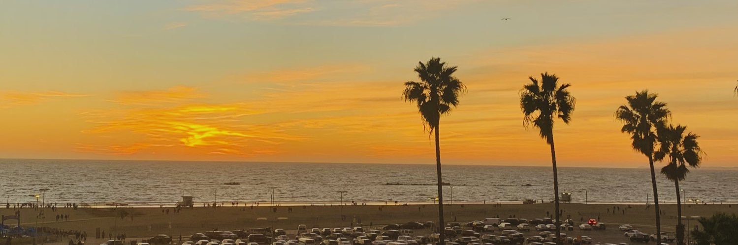 Liseth Gómez banner