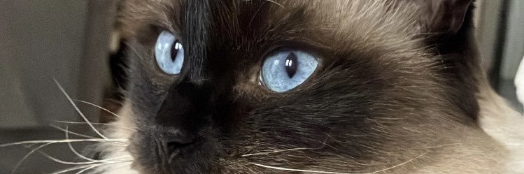 ToriJohnson2's profile banner image