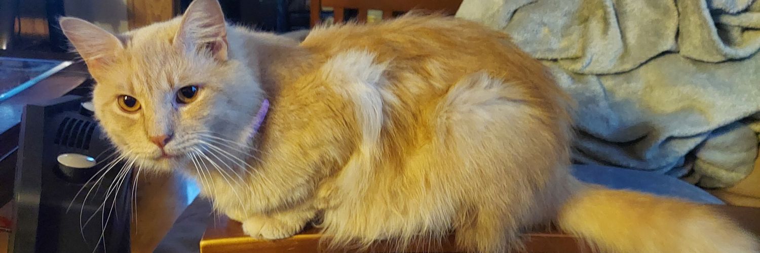 Leslie Hunter banner