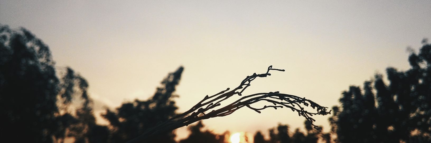 aparaew's profile banner image