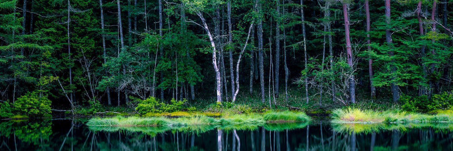 StillCBO's profile banner image