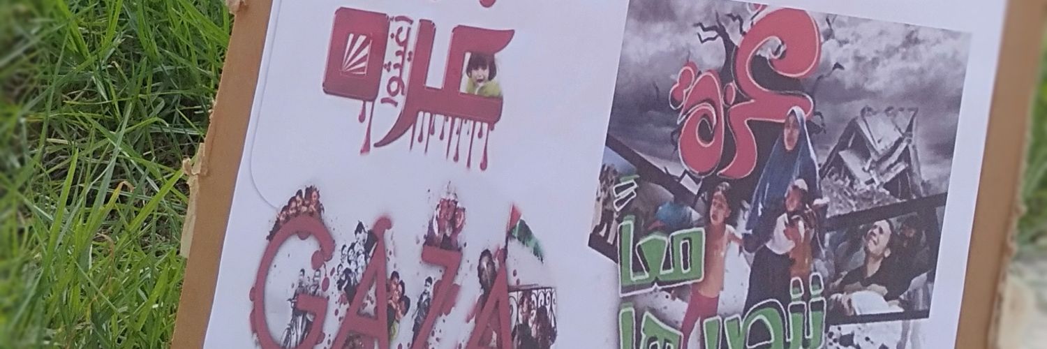 BrNaro's profile banner image