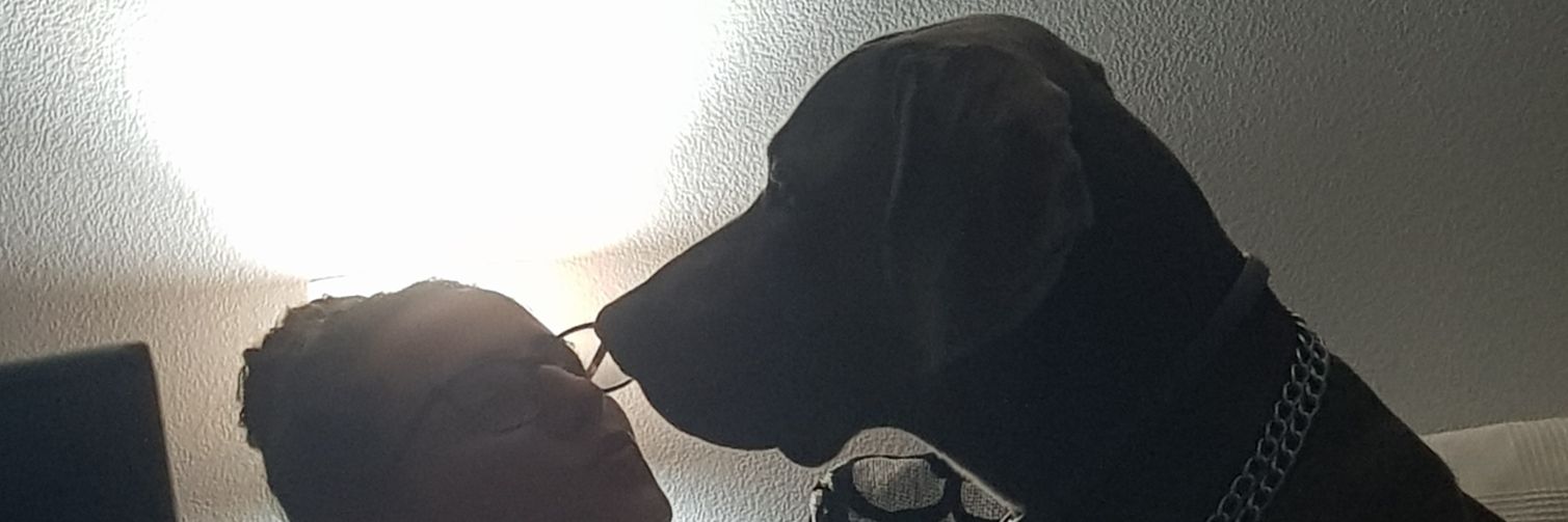 LpezSanmar's profile banner image