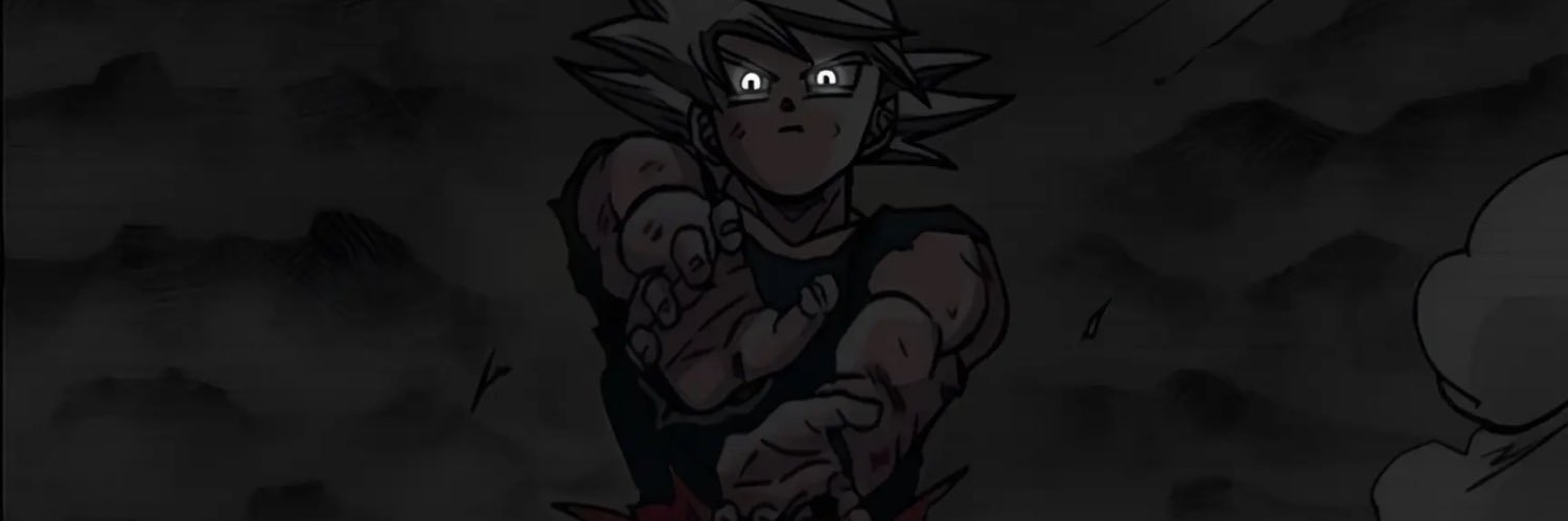 lolsucoF's profile banner image