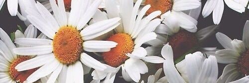 corrypuspila's profile banner image