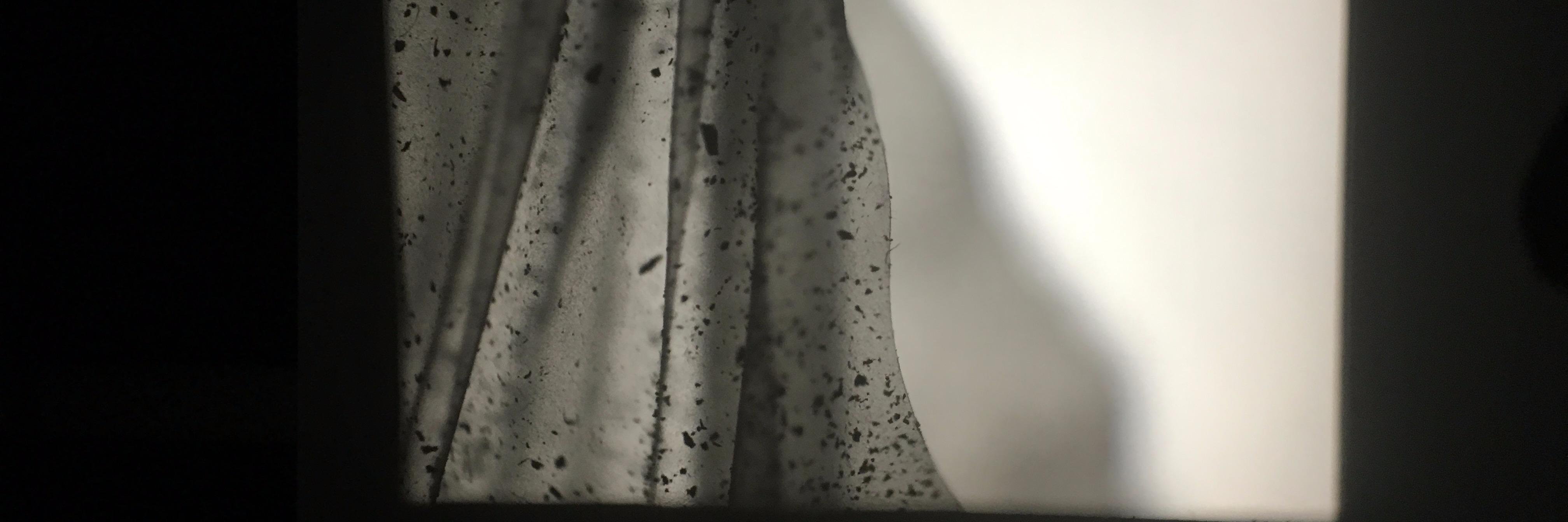 aftertheparty's profile banner image