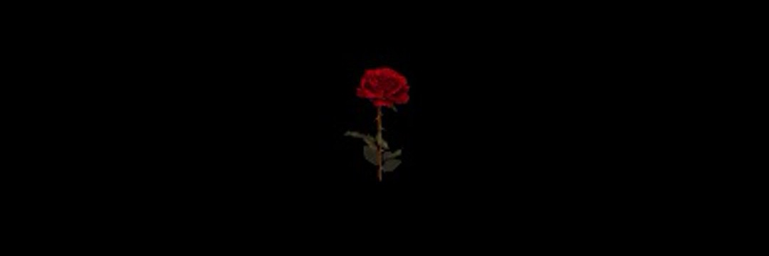 nasgh2002's profile banner image