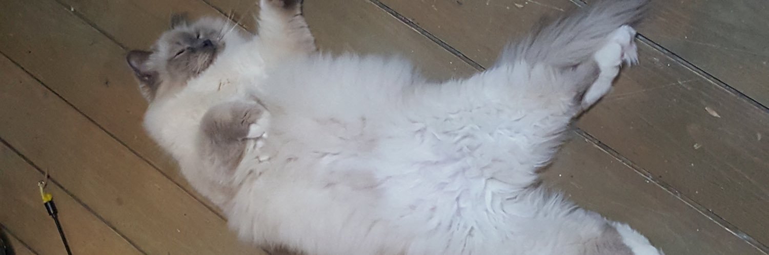 ptitflaa's profile banner image