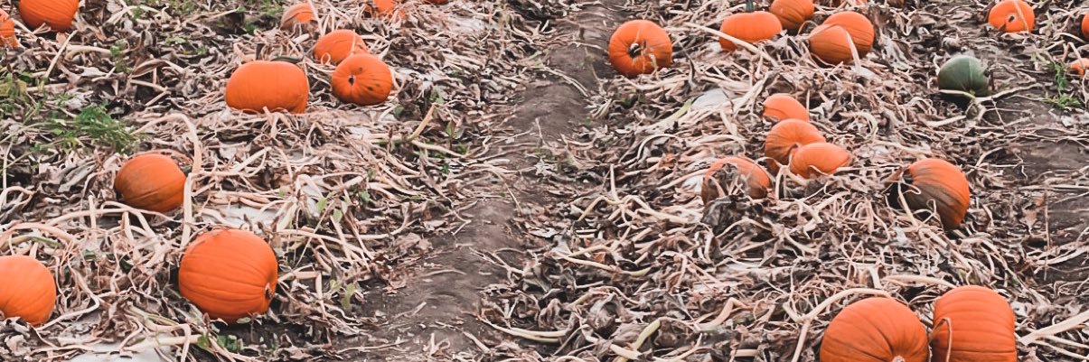 DreaParis's profile banner image
