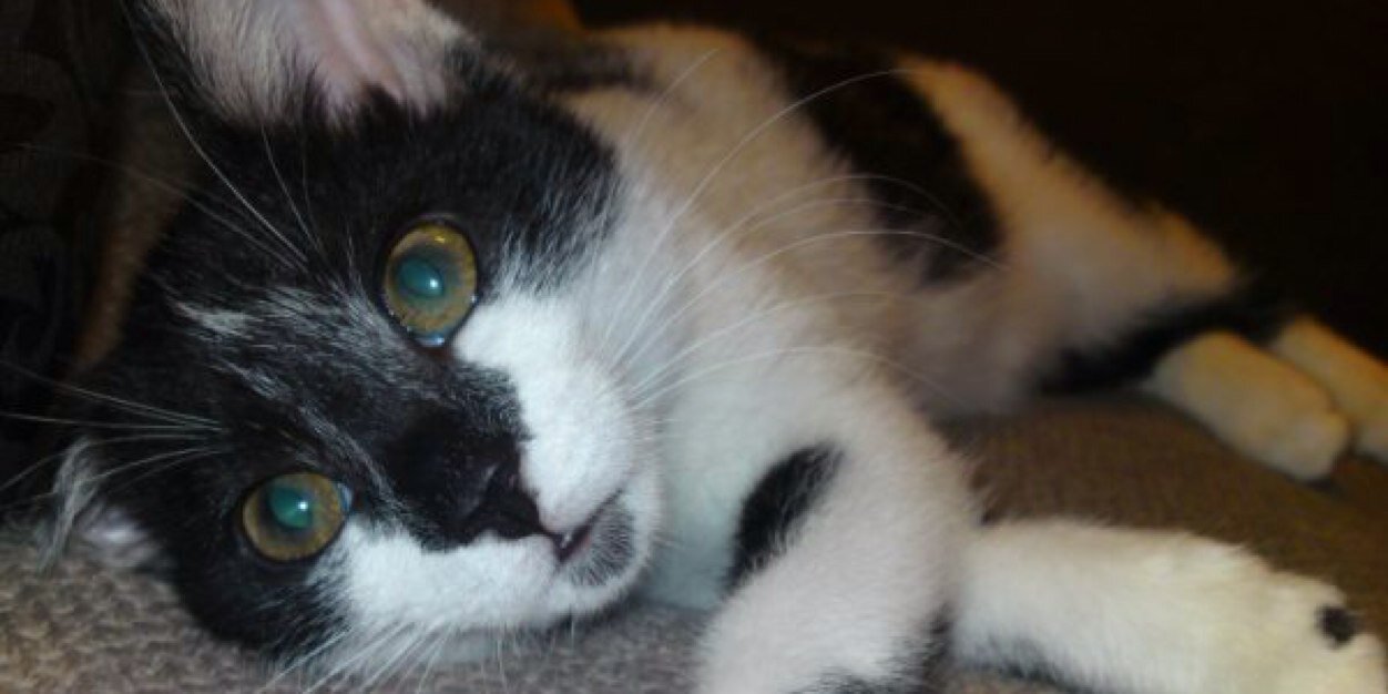 Angela Beardsmore banner