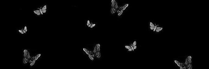 cnulll09's profile banner image
