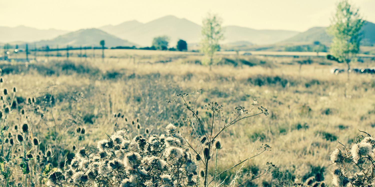 LauraDelBarrioG's profile banner image
