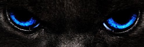 RamCrafterxp's profile banner image