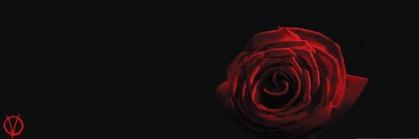 shakkic's profile banner image