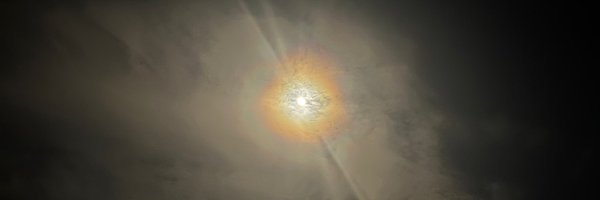 beingsheblog Profile Banner