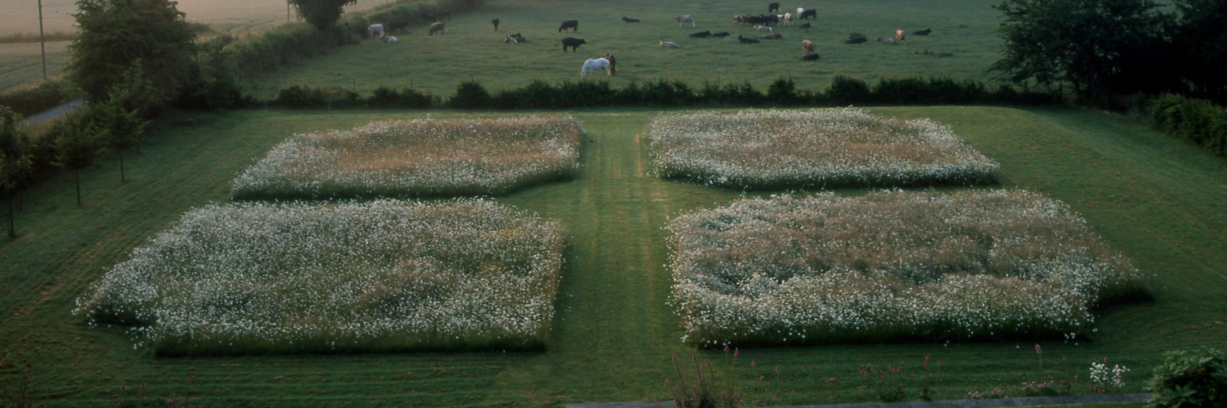 Robert Myers Assocs banner