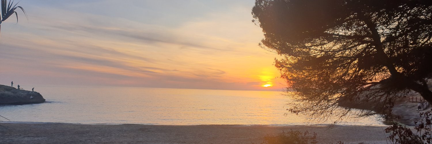lidia_pradas's profile banner image