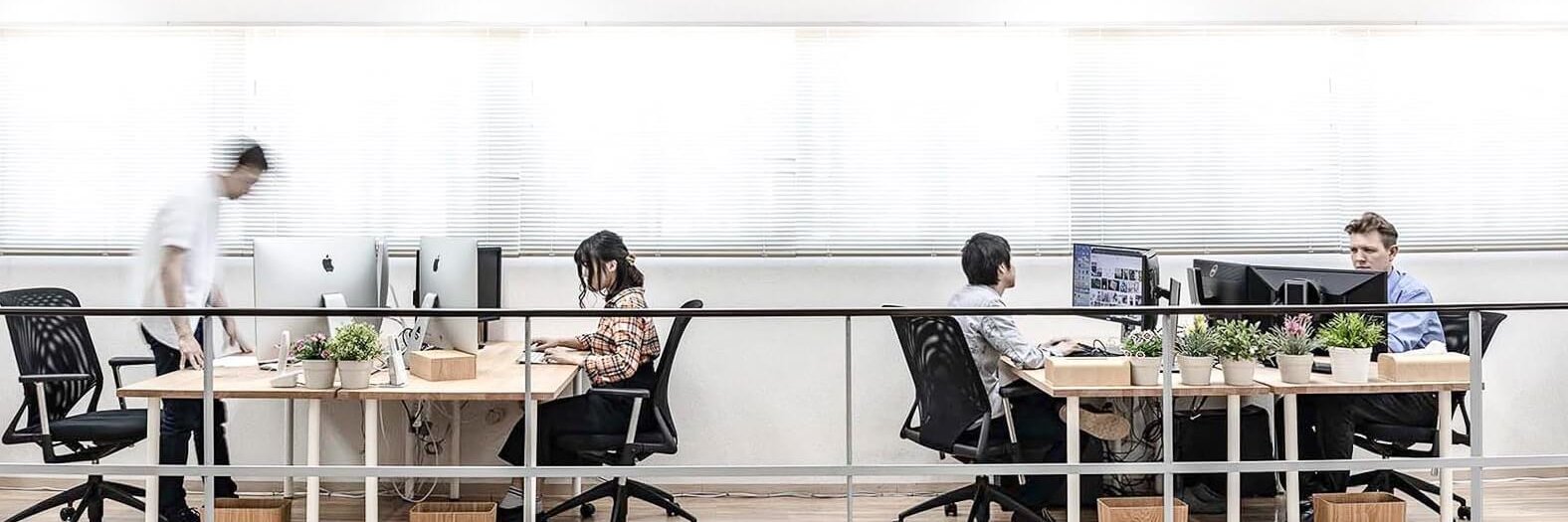 スプラウト (@splout_jp) / Posts / X