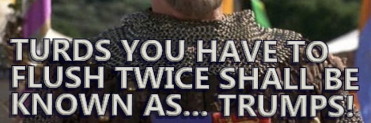 TulleTot's profile banner image