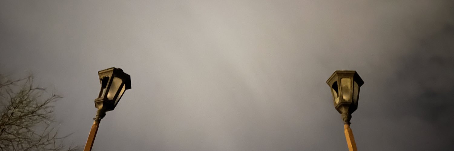 SStepanovic144's profile banner image