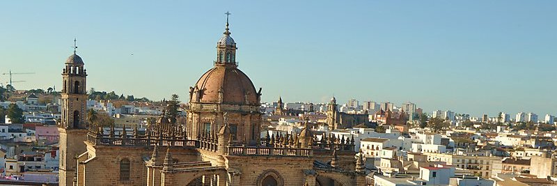 CongresoSENP's profile banner image
