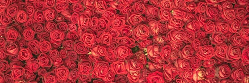 Alessio Curti Licer banner