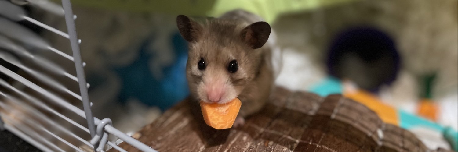 S̸t̵e̶f̸f̷ w̵a̶y̴ banner