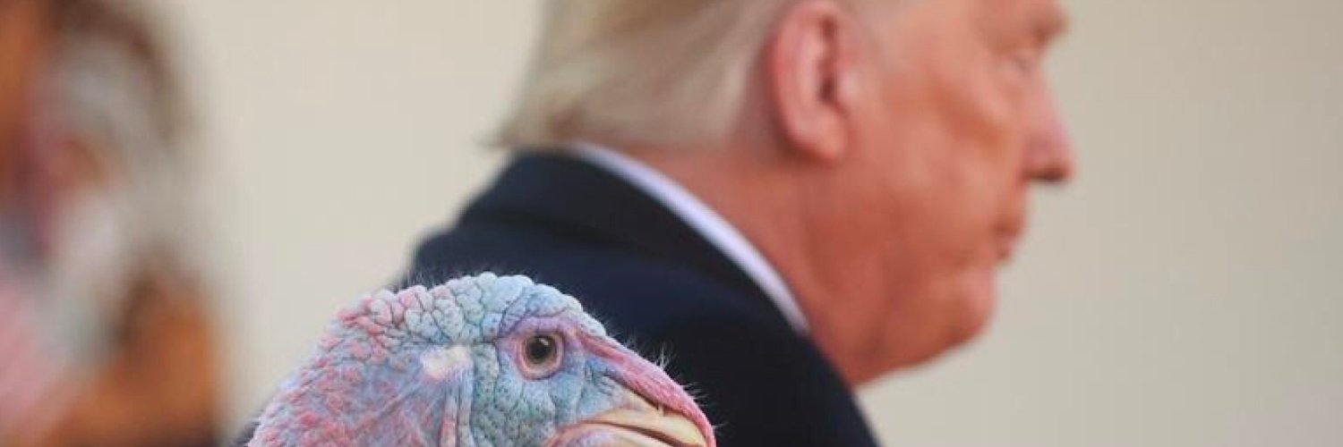 adudeinthechat's profile banner image