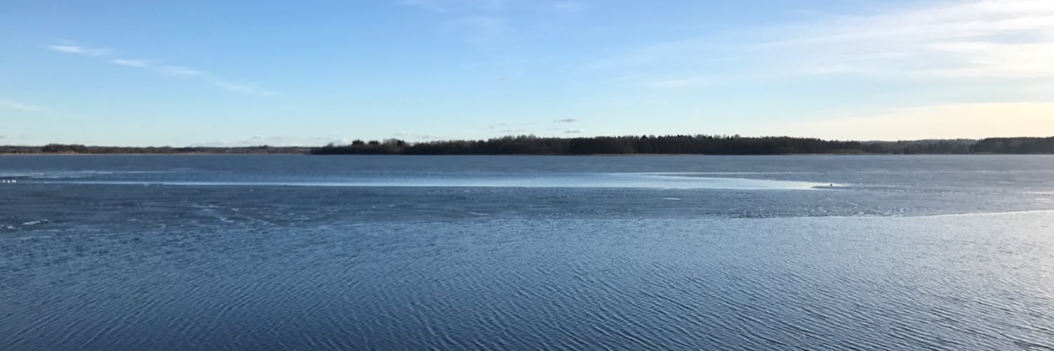 General representative of Flanders Thomas Castrel banner