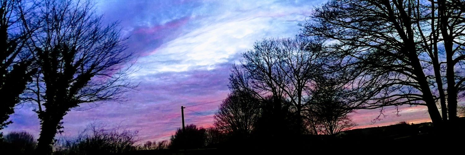 TineFrels's profile banner image