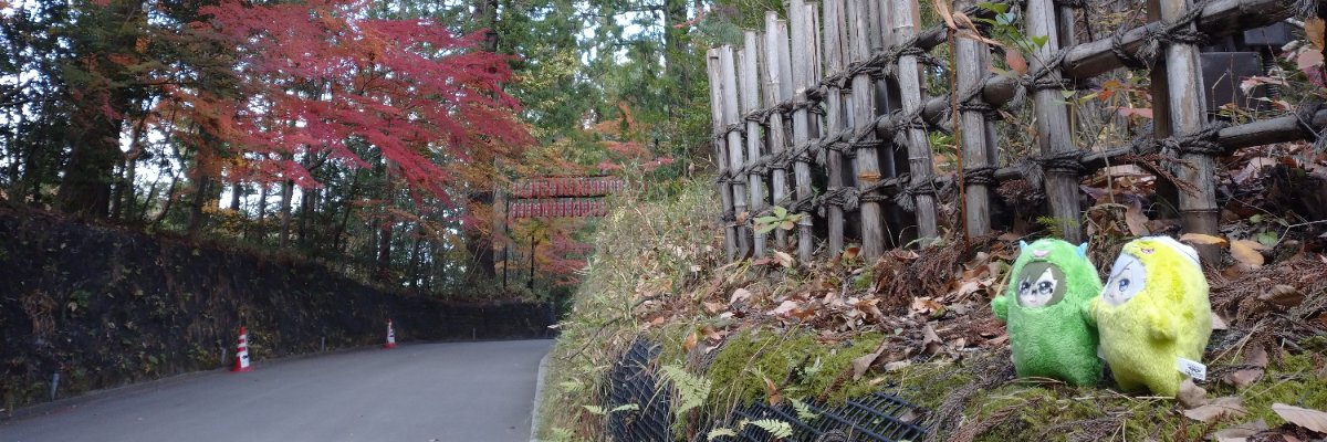 tsuchi_st's profile banner image