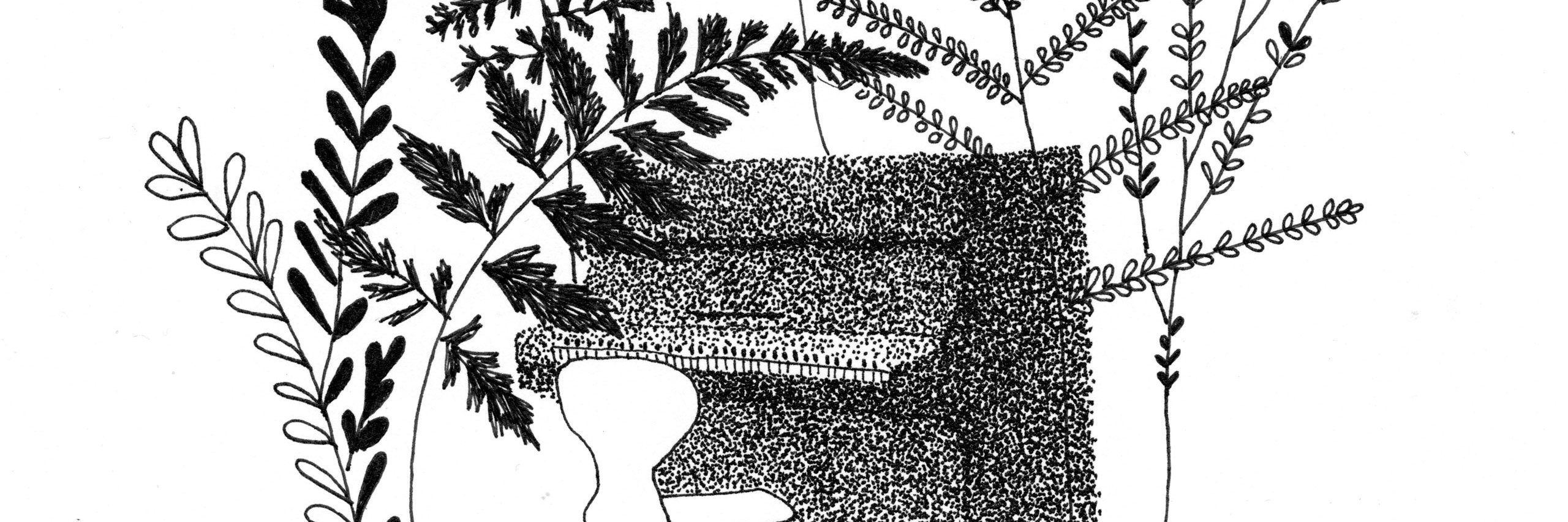 BaraganMusic's profile banner image