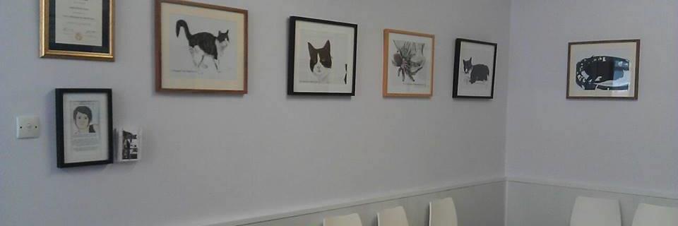 BarryVets's profile banner image