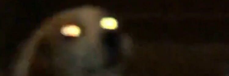 gublinsito's profile banner image