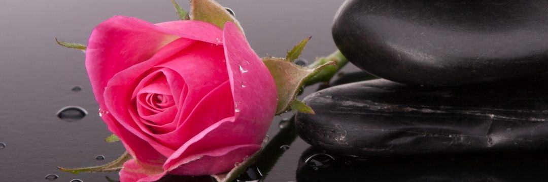 XxLexx_'s profile banner image