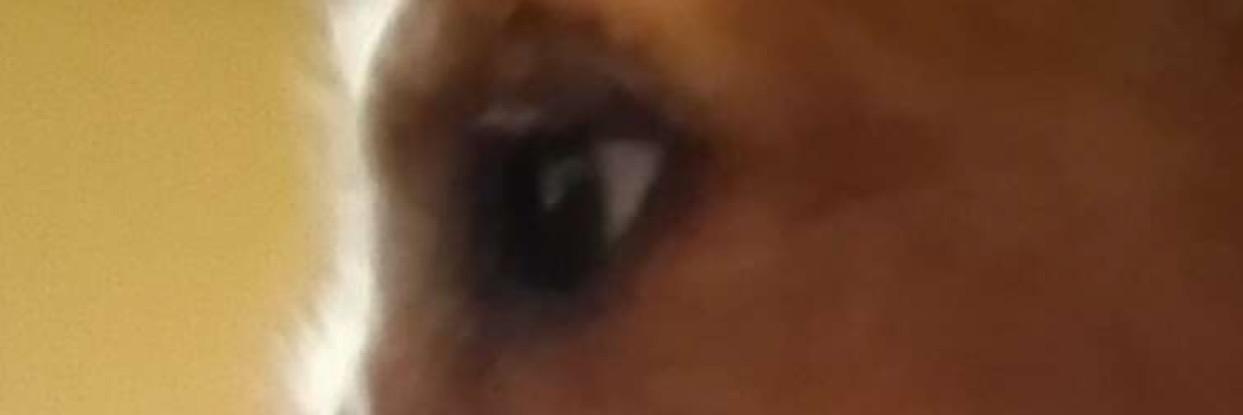 JonBiggsPostz2's profile banner image