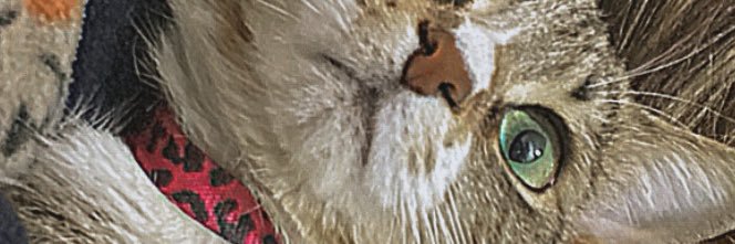 f_yllmz's profile banner image