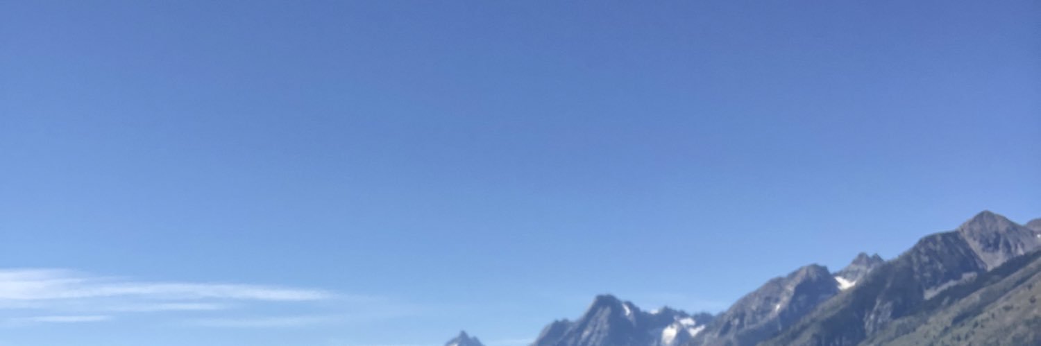 ronbachi banner