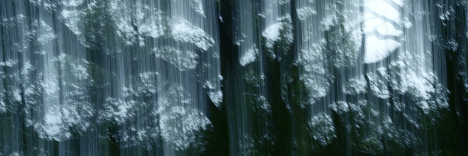 aysviola's profile banner image