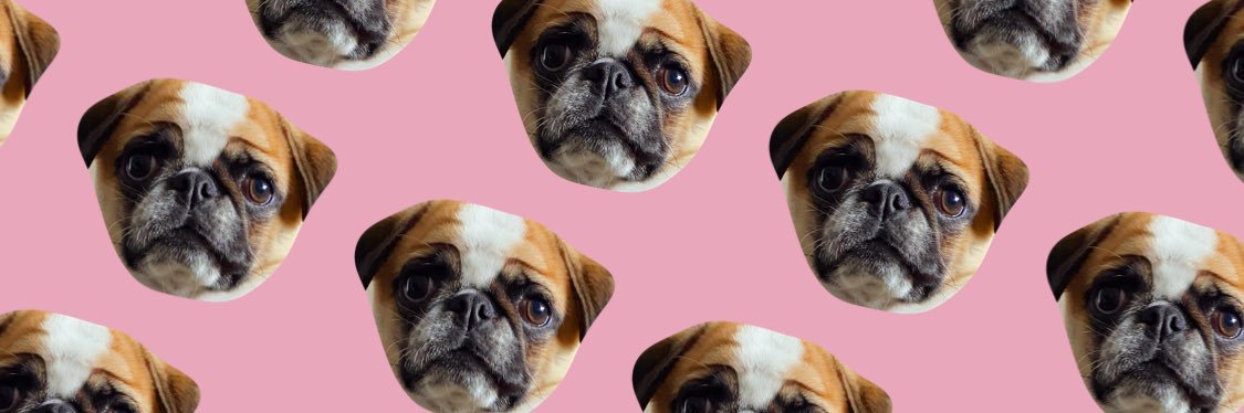 Melissa_AMM's profile banner image